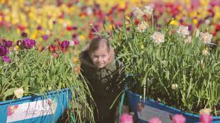 Floriade 2017 [upl. by Cynthla]