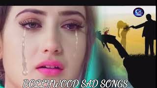 Tune Jo KiyaBollywood Sad SongNew Mp3 SongHindi Songs 2024Moon Music [upl. by Ainoyek219]