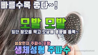 🍋탈모 예방 성장 인자 주파수 힐링 음악ㅣ비오틴ㅣ아연ㅣL 시스테인ㅣ구리ㅣㅣHair loss prevention frequency [upl. by Stich403]