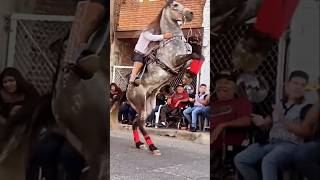 Caballo Reparando Acaba Mal🤔😱🇲🇽💯 caballos shorts caballosbailadores horse jaripeo rodeo [upl. by Kowatch540]