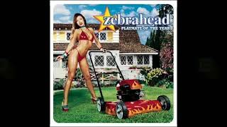 Zebrahead【Now or never】 [upl. by Det268]