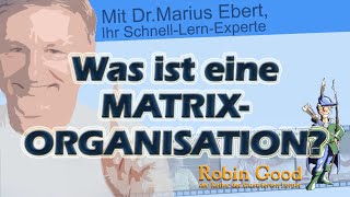 Was ist eine Matrixorganisation [upl. by Eiroj]