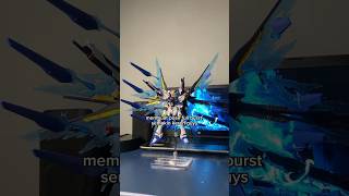 Wing of Light HG Strike Freedom gundam gundamindonesia gunpla gunplabuilder [upl. by Abbottson466]