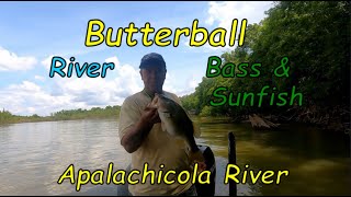 Bass and Sunfish on the Apalachicola [upl. by Nelav]