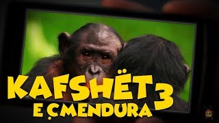 Kafshët e Çmendura  E3 [upl. by Oal171]