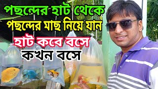 শ্রীরামপুর হাটের রঙিন মাছ 🐋 Aquarium Fish Price  Serampore Fish Pet Market  Aquarium Fish  Fish [upl. by Mrots]