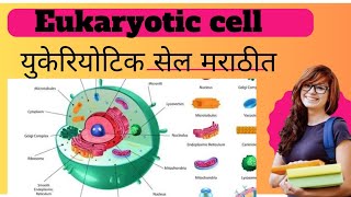 quotEukaryotic Cell Structure and Functionquot [upl. by Corney]