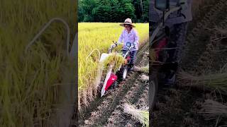 Amazing agriculture machine shorts kubota agriculture ytshorts [upl. by Map]