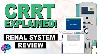 Renal System Review  CRRT Explained [upl. by Zilber646]