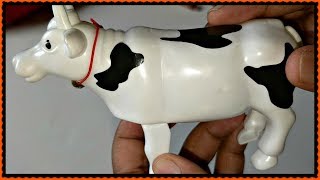 Kids Cow Videos For Kids  A Cow Video For Children [upl. by Cissej]