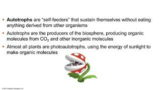 Biology Chapter 10  Photosynthesis [upl. by Ticknor]