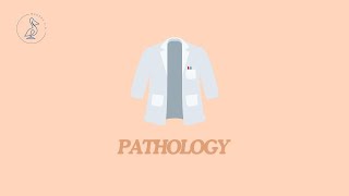 150  Glomerular diseases – summary mechanisms of injury classification [upl. by Nnylyt]