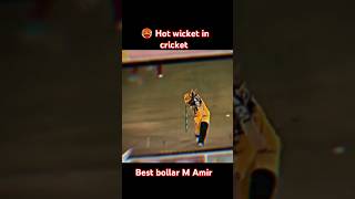 Hot🔥wicket in cricket 🏏 Best bollar in the world M Amir 🥵 subsribe shortvideo cricketlegend [upl. by Einad287]