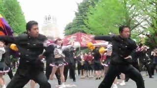 早稲田大学応援チャンスパターンメドレー2016早大・法大合同デモンストレーション [upl. by Onivag]