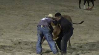 Sometimes The Bull Wins Monte amp Billy Double Mugging 2016 All American Rodeo [upl. by Felita687]