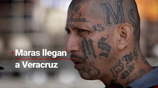 Maras asaltan con MACHETES en Veracruz  Escapan de El Salvador y están el Coatzacoalcos [upl. by Libenson989]