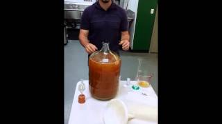 Making Hard Cider  Checking the PH and adding Campden Tablets to Hard Cider [upl. by Sleinad311]