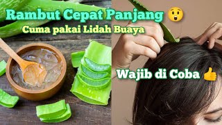 RAMBUT CEPAT PANJANG HANYA DENGAN LIDAH BUAYA  Manfaat Lidah Buaya [upl. by Allicerp]