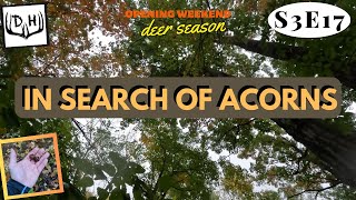 OPENING WEEKEND DEER SEASON  In Search of Acorns [upl. by Otreblif]