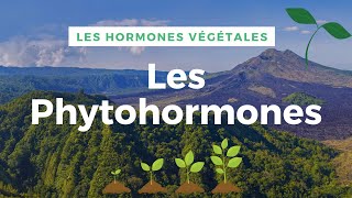 Les Phytohormones ou Hormones Végétales [upl. by Aggie660]