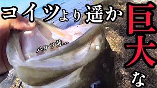 【琵琶湖バス釣り】ロクマルに迫るバス釣って喜んでたら さらに巨大な魚にルアーを引きちぎられ [upl. by Llerdnek206]