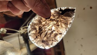 1485  Flintknapping Another Transparent Obsidian Biface [upl. by Can470]