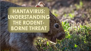 Hantavirus Understanding the RodentBorne Threat [upl. by Shotton]