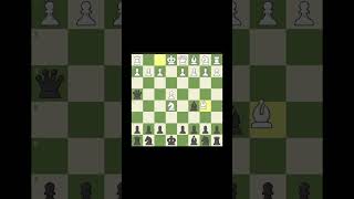 Quickest chess game in my life chess [upl. by Neelia]