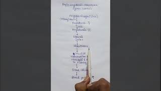 29 ReninAngiotensinAldosterone System RAAS Pharmacy [upl. by Eisiam534]