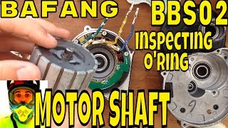 Servicing Bafang 8fun BBS02 • Removing motor shaft  Inspecting oring [upl. by Alorac593]