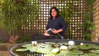 Greenfingers  Stunning Water Bowl Feature [upl. by Justicz]