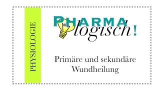 primäre und sekundäre Wundheilung [upl. by Rein]