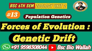 Forces of Evolution  Genetic Drift  Mutation  Selection [upl. by Dahle]