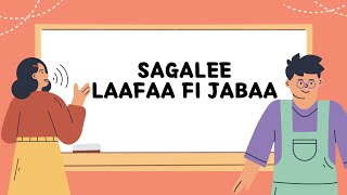 Sagalee jechoota Afaan Oromoo part  2Laafaa fi jabaaየ አፋን ኦሮሞ ድምጾች ክፍል ሁለት [upl. by Siahc]