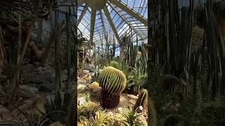 Palmengarten Frankfurt  Tropical and Semitropical Greenhouses  Botanical Garden  Germany Leisure [upl. by Nnylyoj453]