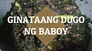 Ginataang Dugo ng Baboy  Paiga sa Gata  Dinuguan  Blood Stew [upl. by Foskett646]