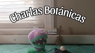 Charlas Botánicas Con Planta Carnivora Episodio 4 HielaGuisantes [upl. by Ahseet828]