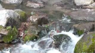 Headwaters of the Sacramento River in the Mount Shasta Park in Mount Shasta City California [upl. by Tonry883]