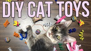 5 Easy Cat Toys Kids Can Make at Home [upl. by Golden622]