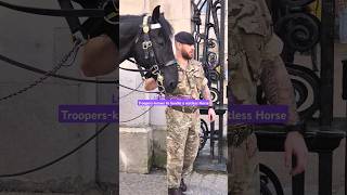 TROOPERS troopers kingsguard royalhorse shorts youtubeshorts amazing [upl. by Ynnohj]