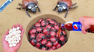 Mentos VS Coca Cola Sprite Monster Fanta different Toy insect and Mentos in underground [upl. by Mordy]