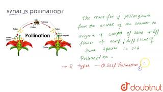 What is pollination [upl. by Ennayr]