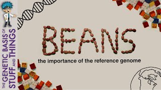 BEANS the importance of the reference genome [upl. by Ainivad]