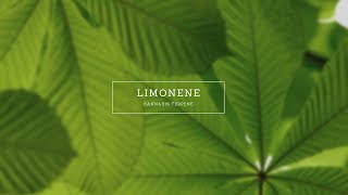 Limonene I Terpene I Dr Pepper Hernandez [upl. by Adev999]