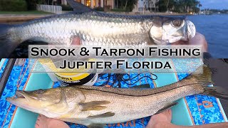 Tarpon amp Snook Mullet Run Fishing Jupiter Florida from a Solo Skiff [upl. by Bomke]