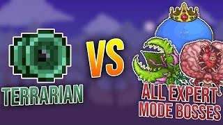 Terrarian vs All Expert Mode Bosses [upl. by Anawal]