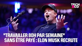 quotTravailler 80h par semainequot sans être payé Elon Musk recrute pour sa commission [upl. by Iruam]