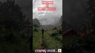 North Bengal in Monsoon🫶 travel minivlog contentcreator viralshorts trendingshorts northbengal [upl. by Sams]