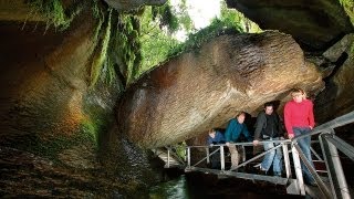 Te Anau Glowworm Caves  Real Journeys New Zealand [upl. by Enej]