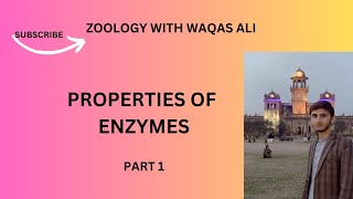 Properties of enzymes part 1 Nature of enzymes Zymogens or proenzymes  Location of enzymes [upl. by Yren650]